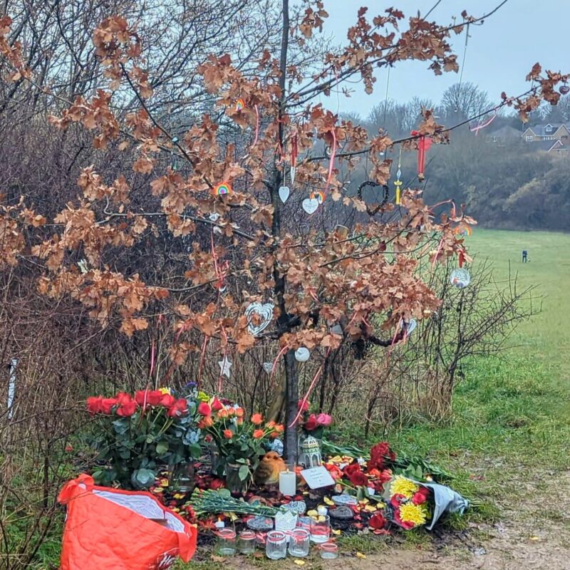 Tributes to Olly Stephens laid underneath his tree